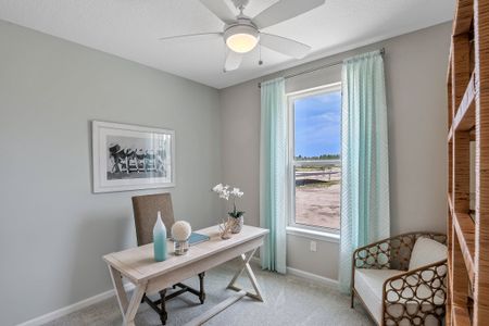 Seaire by Dream Finders Homes in Palmetto - photo 47 47