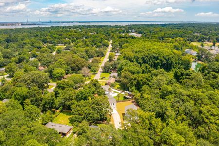 New construction Single-Family house 912 Dills Bluff Road, Charleston, SC 29412 - photo 25 25