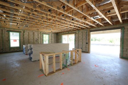 New construction Single-Family house 10634 New Morning Drive, Tampa, FL 33647 Grandshore II- photo 28 28