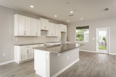 New construction Single-Family house 643 Becklow Street, Debary, FL 32713 Jensen - Avenue Collection- photo 14 14