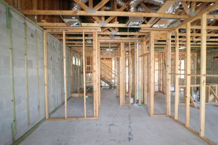 New construction Single-Family house 2885 Misty Marble Drive, Zephyrhills, FL 33540 Herrera- photo 24 24