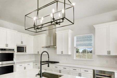 New construction Single-Family house 598 Yellow Bell Run, Dripping Springs, TX 78620 - photo