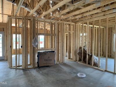 New construction Single-Family house 260 Tobacco Barn Drive, Angier, NC 27501 - photo 5 5