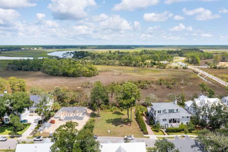 New construction Single-Family house 465 Lesesne Street, Charleston, SC 29492 - photo 18 18