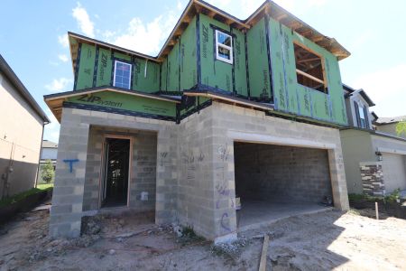 New construction Single-Family house 2852 Misty Marble Drive, Zephyrhills, FL 33540 Castellana- photo 51 51