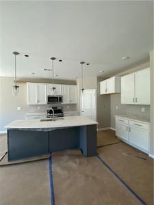New construction Single-Family house 205 Balsam Drive, Dallas, GA 30157 Amelia- photo 4 4