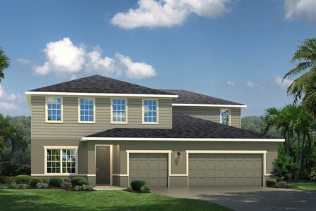 New construction Single-Family house 3009 Robles Road, Clermont, FL 34711 - photo 3 3