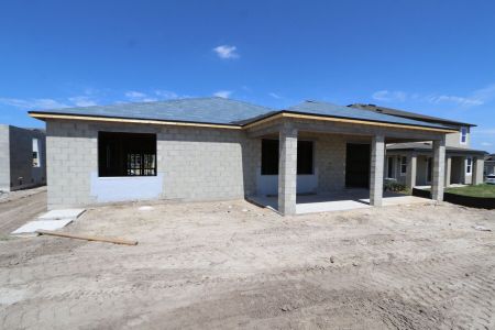 New construction Single-Family house 32568 Sapna Chime Drive, Wesley Chapel, FL 33545 Barcello- photo 11 11