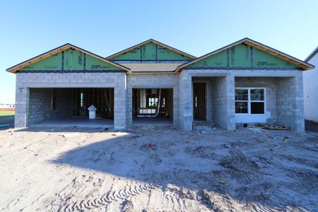 New construction Single-Family house 4778 Beachrose Way, Lakeland, FL 33811 Barcello- photo 32 32
