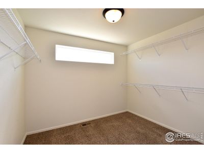 New construction Single-Family house 2333 Graceful St, Windsor, CO 80550 The New Jersey- photo 26 26