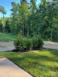New construction Single-Family house 472 Bellingshire Drive, Mount Ulla, NC 28125 Bellingshire- photo 29 29