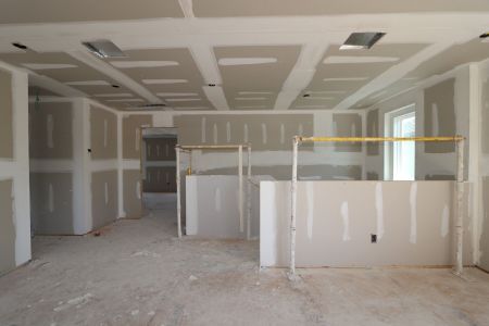 New construction Single-Family house 9358 Crescent Ray Drive, Wesley Chapel, FL 33545 Renau- photo 31 31