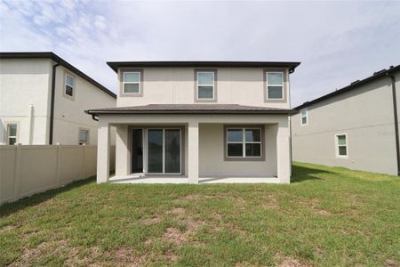 New construction Single-Family house 3163 Marine Grass Drive, Wimauma, FL 33598  Castellana - C- photo 2 2