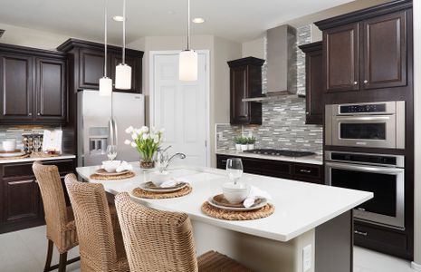 Parkside at Anthem at Merrill Ranch by Pulte Homes in Florence - photo 35