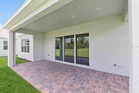 New construction Single-Family house 2272 Seasgrass Point, Unit 447, Kissimmee, FL 34747 Saint Lucia- photo 8 8