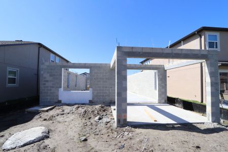 New construction Single-Family house 2852 Misty Marble Drive, Zephyrhills, FL 33540 Castellana- photo 13 13