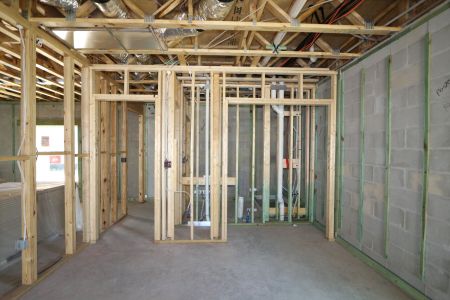 New construction Single-Family house 12383 Hilltop Farms Drive, Dade City, FL 33525 Malibu- photo 62 62