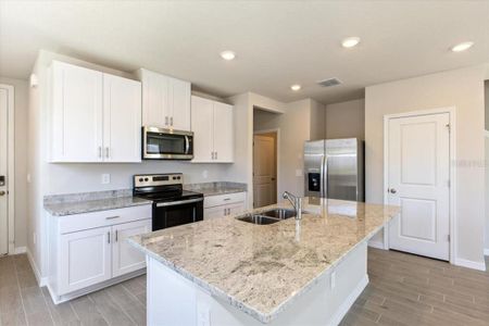 New construction Townhouse house 32468 Limitless Place, Wesley Chapel, FL 33545 Windsor- photo