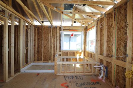 New construction Single-Family house 2463 Sunny Pebble Loop, Zephyrhills, FL 33540 Castellana- photo 42 42