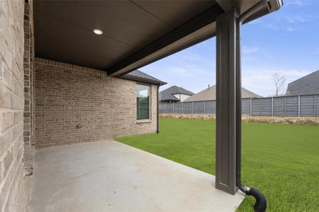 New construction Single-Family house 7020 Ladybug Ln, Little Elm, TX 76227 - photo 27 27