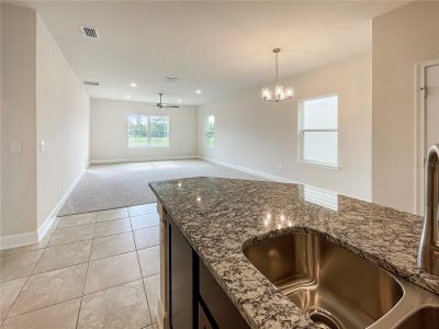 New construction Single-Family house 3645 Sagefield Drive, Saint Cloud, FL 34771 2335- photo 9 9