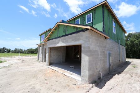 New construction Single-Family house 9611 Crescent Ray Drive, Wesley Chapel, FL 33545 Dali- photo 31 31