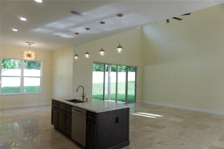 New construction Single-Family house 12849 Brunello Circle, Clermont, FL 34711 - photo 10 10