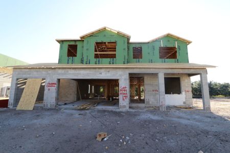 New construction Single-Family house 3156 Marine Grass Drive, Wimauma, FL 33598 Mira Lago- photo 9 9