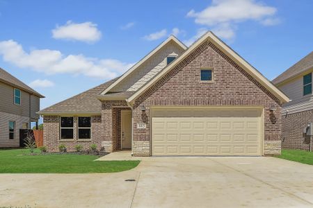 New construction Single-Family house 200 Sarra Lane, Poolville, TX 76487 - photo 0