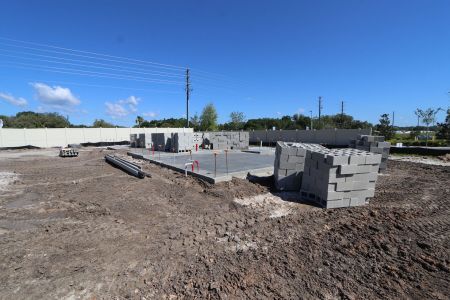 New construction Single-Family house 3077 Misty Marble Drive, Zephyrhills, FL 33540 Castellana- photo 7 7