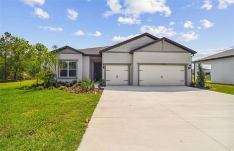New construction Single-Family house 12685 Hayes Clan Road, Riverview, FL 33579 Ashby- photo 1 1