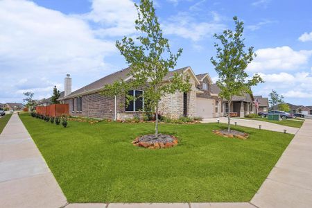 New construction Single-Family house 1501 Sidewinder Trail, Weatherford, TX 76087 - photo 3 3