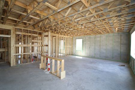 New construction Single-Family house 2881 Misty Marble Drive, Zephyrhills, FL 33540 Castellana- photo 24 24