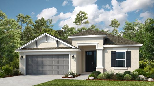 New construction Single-Family house 33314 Castaway Loop, Wesley Chapel, FL 33543 - photo 3 3
