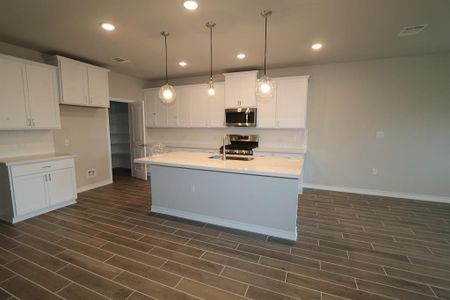 New construction Single-Family house 1520 Carvin Way, Pflugerville, TX 78660 - photo