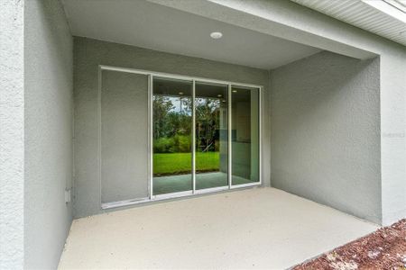 New construction Single-Family house 13224 Peaceful Melody Drive, Winter Garden, FL 34787 - photo 26 26