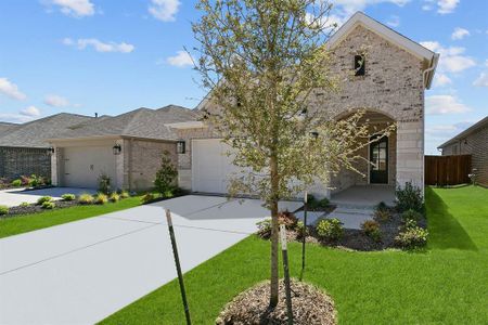 New construction Single-Family house 9220 Winding Creek Drive, Oak Point, TX 75068 Greensbrook- photo 1 1