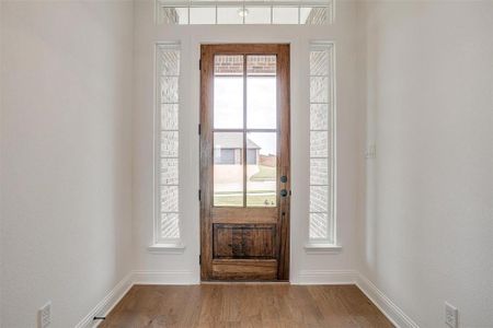 Foyer featuring wood-type flooring and a healthy amount of sunlight