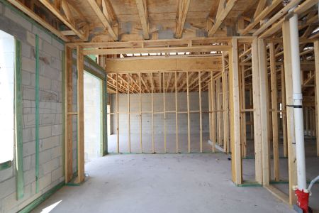 New construction Single-Family house 31823 Sapna Chime Drive, Wesley Chapel, FL 33545 Mira Lago- photo 37 37