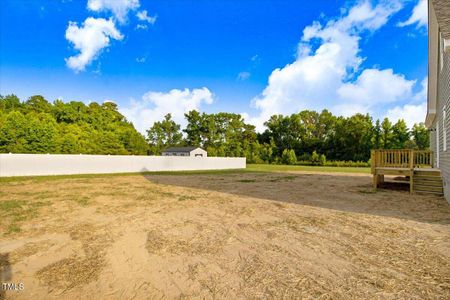 New construction Single-Family house 94 Glenwood Place, Kenly, NC 27542 - photo 29 29