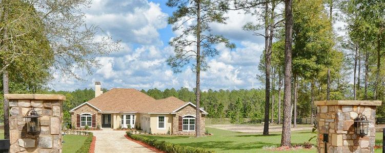 New construction Single-Family house Lot 6 Panoramic View Dr, Apopka, FL 32712 - photo 0 0