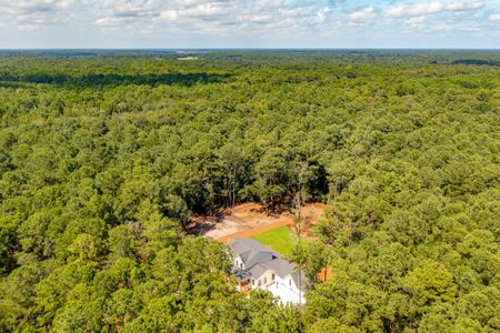 New construction Single-Family house 1451 Ravens Bluff Road, Johns Island, SC 29455 - photo 78 78