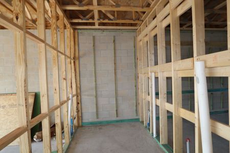 New construction Single-Family house 5238 Currant Street, Lakeland, FL 33811 Marina- photo 24 24
