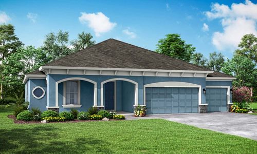 New construction Single-Family house Sapphire, 8815 Mugnai St., Riverview, FL 33578 - photo