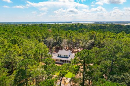 New construction Single-Family house 1451 Ravens Bluff Road, Johns Island, SC 29455 - photo 1 1