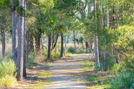 The Preserve at Pennys Creek by Brightwater Homes in Johns Island - photo 10 10