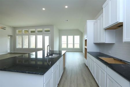 New construction Single-Family house 423 Blue River Trail, Rosenberg, TX 77471 Classic Series - Yale- photo 6 6