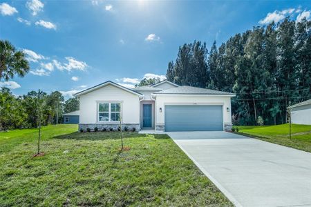 New construction Single-Family house 1256 Hastings Road Sw, Palm Bay, FL 32908 - photo 0