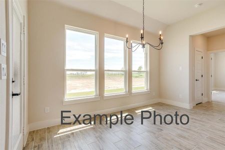New construction Single-Family house 7005 Ranch View, Springtown, TX 76082 - photo 11 11