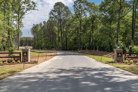 New construction Single-Family house 155 Green Pines Estates Drive, Kenly, NC 27542 - photo